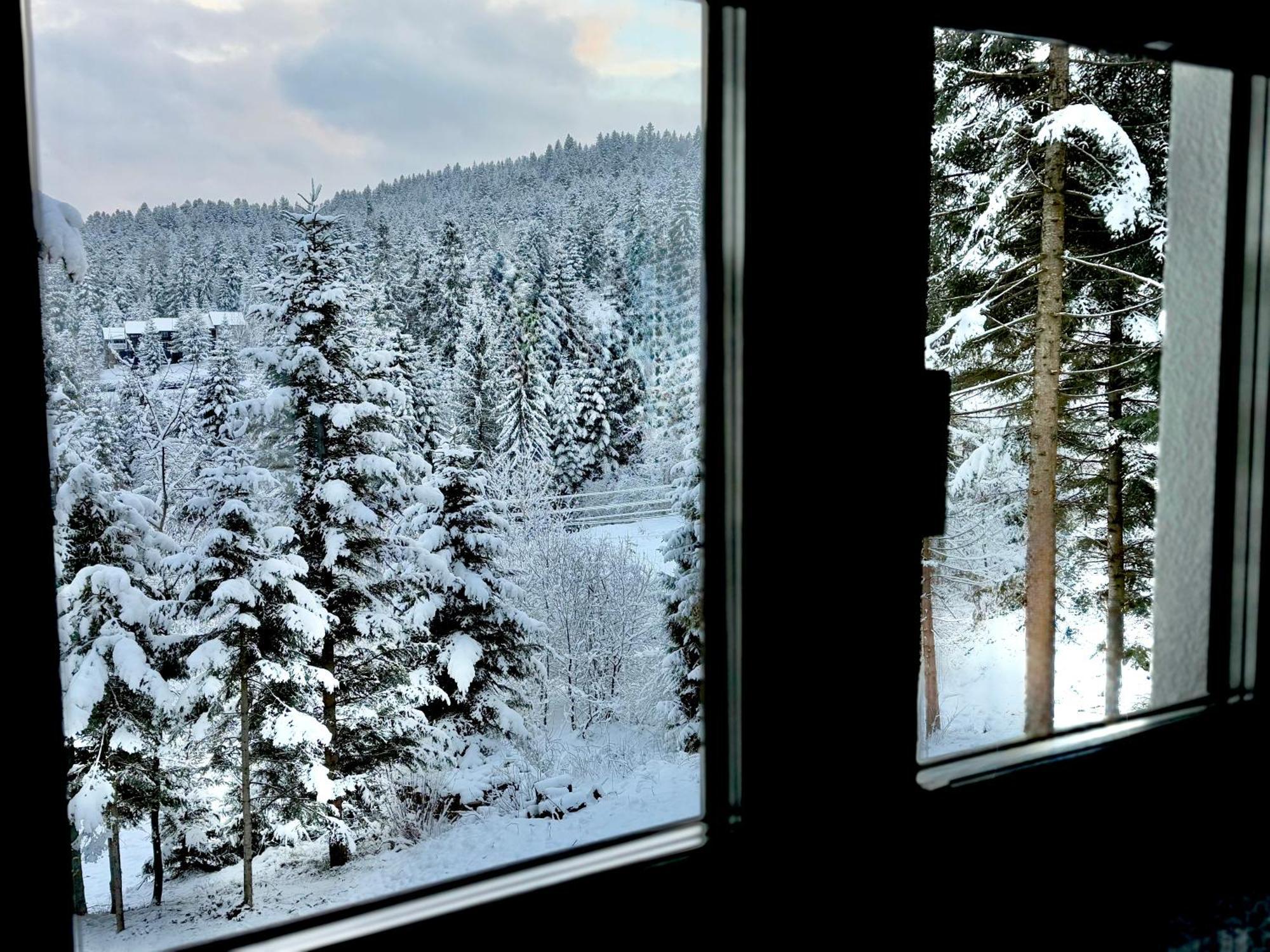 Апарт- Готель Sunray Skhidnytsya Skhidnytsia المظهر الخارجي الصورة